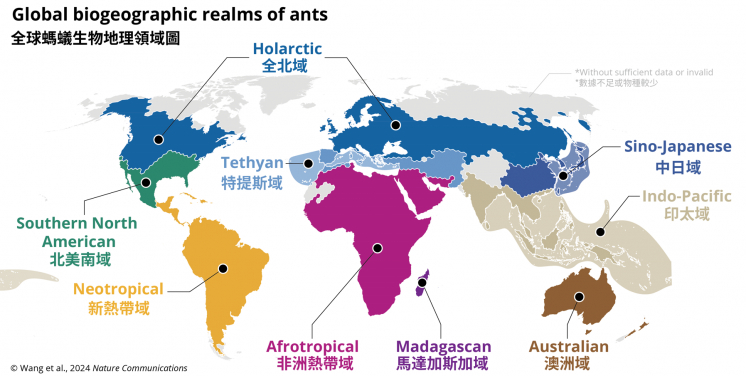 Figure 1: Map showing the nine biogeographic realms of ants; image modified from respective article of Nature Communications (2024)