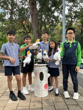 研究團隊正與本地學校合作，安裝特別設計的人工巢箱，為香港城市中的小葵花鳳頭鸚鵡提供安全棲所。其中，由鰂魚涌小學贊助的巢箱已安裝於維多利亞公園。圖片來源：Ceri Hill
