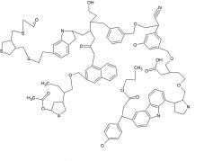 A schematic structure of organic matter in the Universe.  This typical structure is a mixture of ring-like (aromatic) and chain-like (aliphatic) chemical sites and contains about 100 carbon atoms.